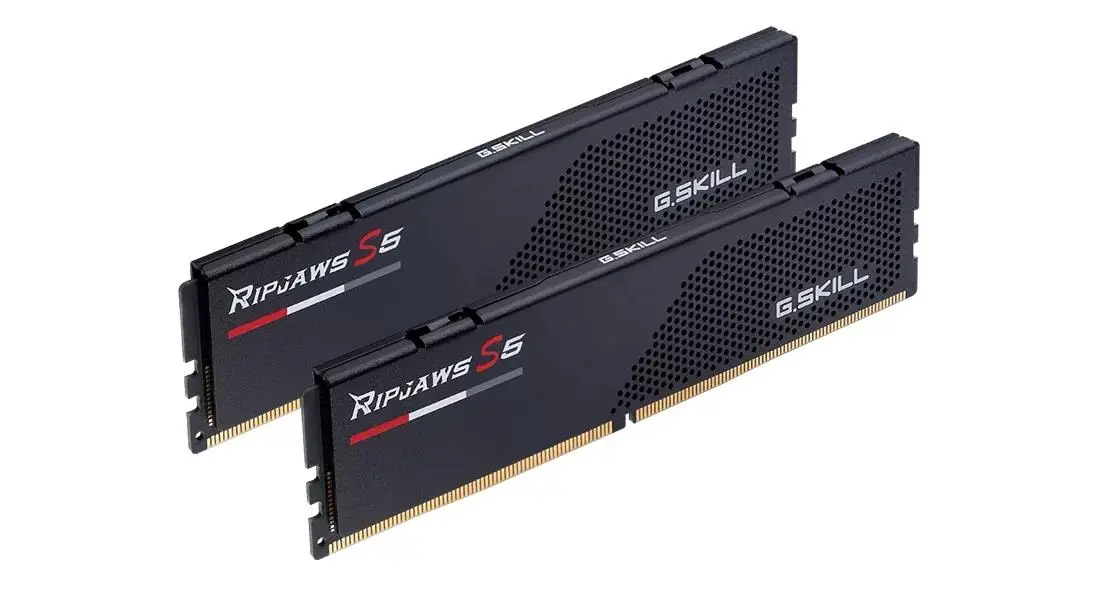 MEMORY DIMM 32GB DDR5-6000 K2/F5-6000J3636F16GX2RS5K G.SKILL