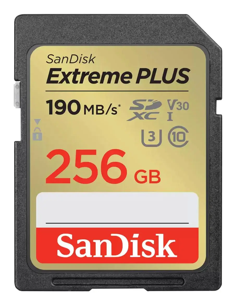 MEMORY SDXC 256GB UHS-1/SDSDXWV-256G-GNCIN SANDISK