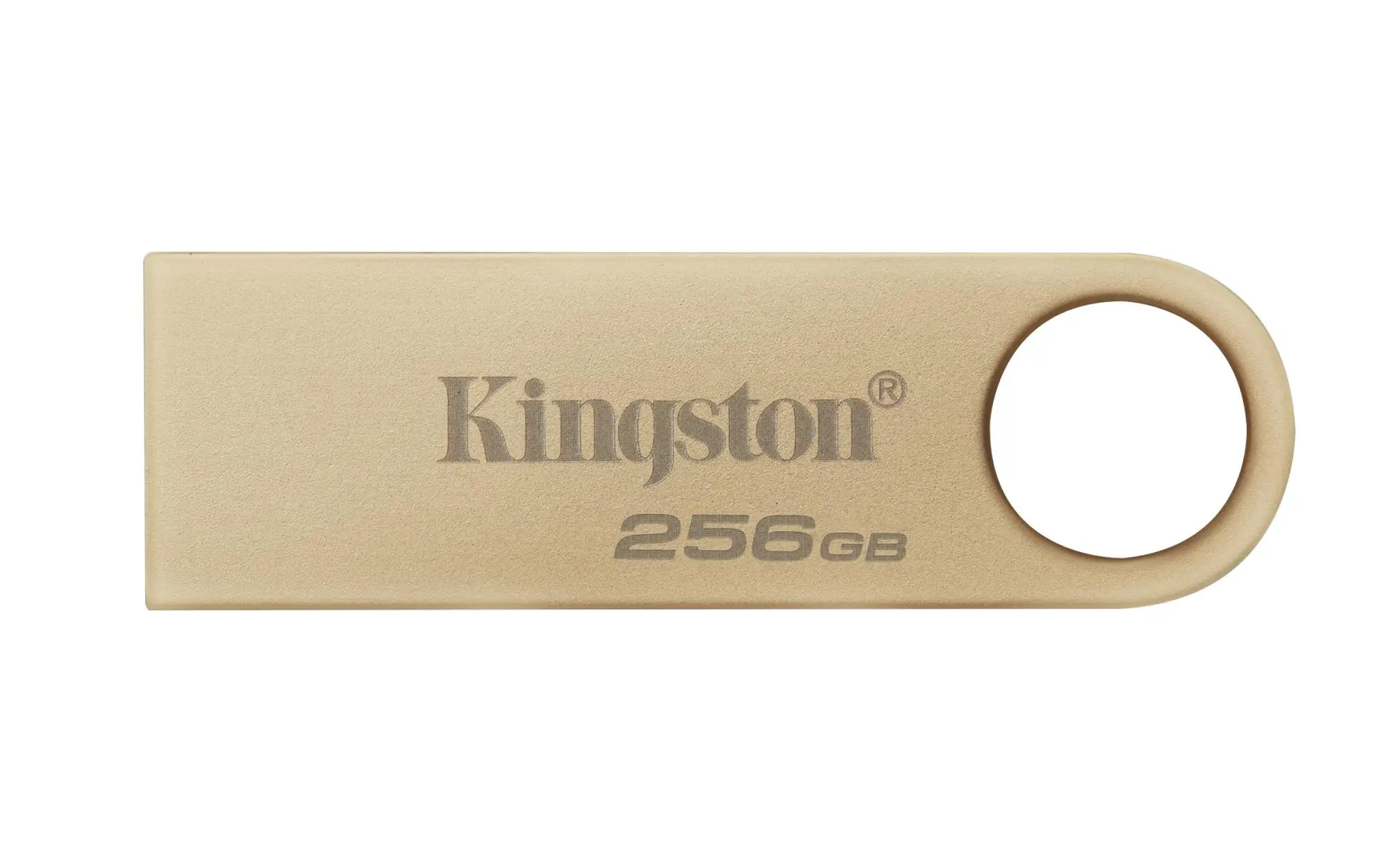 MEMORY DRIVE FLASH USB3.2/256GB DTSE9G3/256GB KINGSTON
