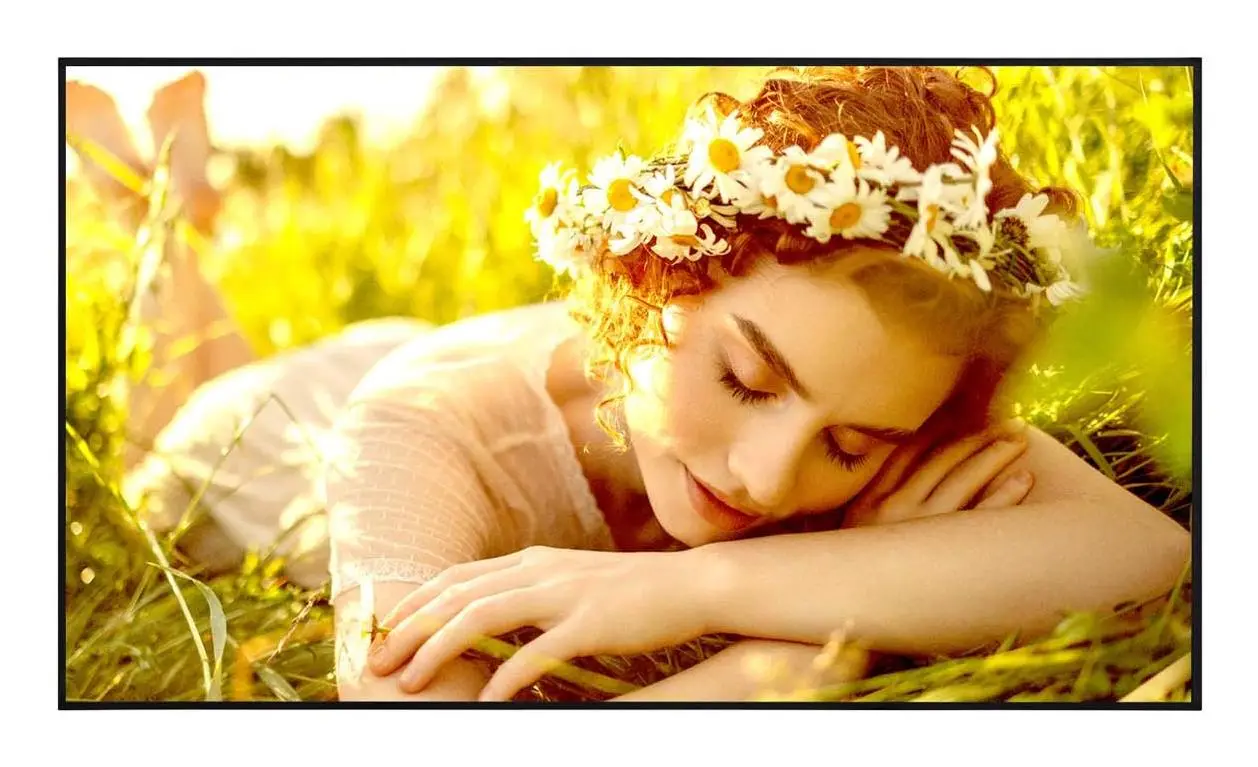 DISPLAY LCD 65"/65UL5Q-E LG