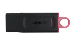 MEMORY DRIVE FLASH USB3.2/256GB DTX/256GB KINGSTON