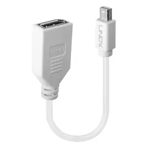 ADAPTER MINI DP TO DP/0.2M 41021 LINDY
