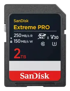 MEMORY SDXC 2TB UHS-1/SDSDXXD-2T00-GN4IN SANDISK