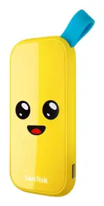External SSD|SANDISK|1TB|USB 3.2|Read speed 800 MBytes/sec|SDSSDE30-1T00-G25F