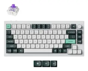 KEYBOARD WRL Q1 HE RGB/SHELL WHITE Q1H-P1 KEYCHRON