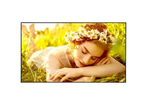DISPLAY LCD 75" 4K/75UL5Q-M LG